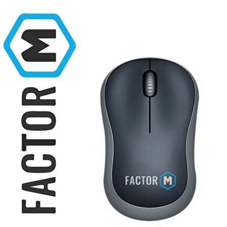 Global M1 Süper Sessiz Kompact Kablosuz Mouse Siyah WNE0032