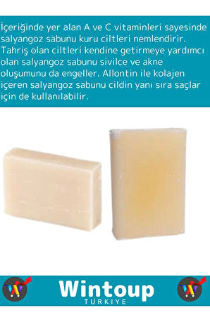 Özel Üretim %100 Doğal Organik Güzel Kokulu Salyangoz Sabunu El Yüz Saç Vücut Cilt Sabunu 2 Adet