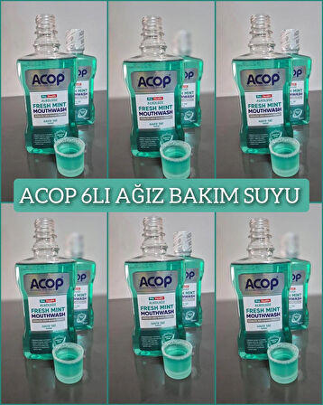 AĞIZ BAKIM SUYU PRO HEALTH NANE 500 ML ALKOLSÜZ ACOP 6'LI