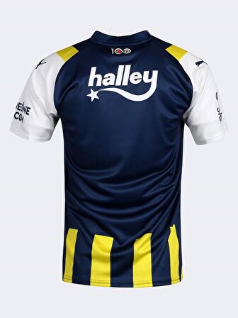 Fenerbahçe 2023/2024 -5 Yıldız Çubuklu Forma Erkek Forma