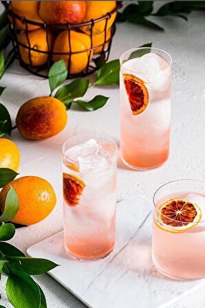 Paşabahçe Nude Kristal Meşrubat Bardak 4 Lü 64012 350 cc