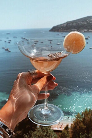 Paşabahçe 66120 Kristal 2 Li Nude Vintage Margarita Bardağı 400cc