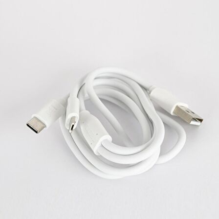 Global Çift Çıkışlı Şarj Aleti Type-C ve Micro Data Kablolu TCW-E01D Beyaz WNE0160