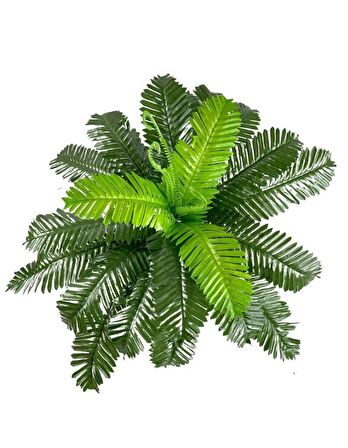 Yapay Çiçek Cycas Aşk Merdiveni Eğrelti Otu Sıkas Bitkisi 24 Yaprak 45*60 cm Yapay Bitki