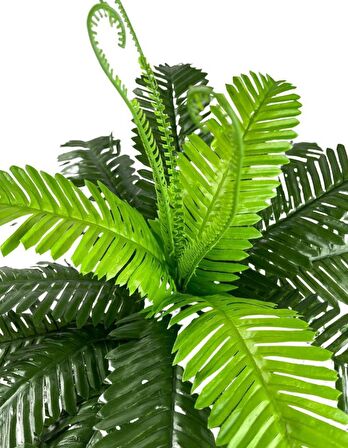 Yapay Çiçek Cycas Aşk Merdiveni Eğrelti Otu Sıkas Bitkisi 24 Yaprak 45*60 cm Yapay Bitki