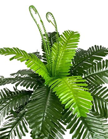 Yapay Çiçek Cycas Aşk Merdiveni Eğrelti Otu Sıkas Bitkisi 24 Yaprak 45*60 cm Yapay Bitki
