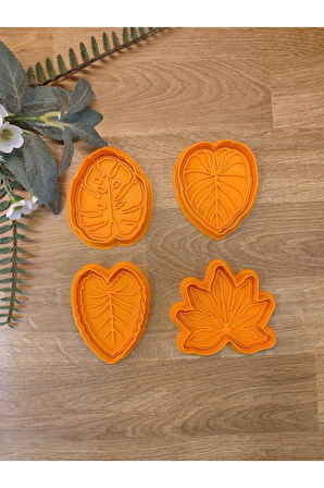 Yapraklar Monstera Çınar Sonbahar Yaprağı Kurabiye Kalıbı Seti