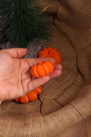 Sonbahar Dekoru 3'lü Bal Kabağı Seti Dekoratif Biblo