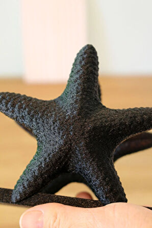 Deniz Yıldızı Star Dekoratif Obje Peçetelik Siyah