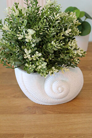 Deniz Kabuğu Organizer ve Deniz Yıldızı Peçetelik Sofra Dekorasyon Takımı Granit Görünümlü Beyaz