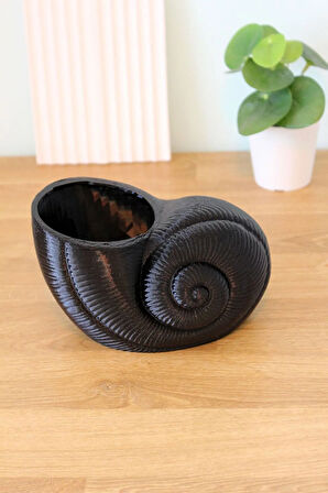 Deniz Kabuğu Istiridye Midye Dekoratif Çok Amaçlı Organizer Düzenleyici Vazo Siyah