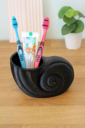 Deniz Kabuğu Istiridye Midye Dekoratif Çok Amaçlı Organizer Düzenleyici Vazo Siyah