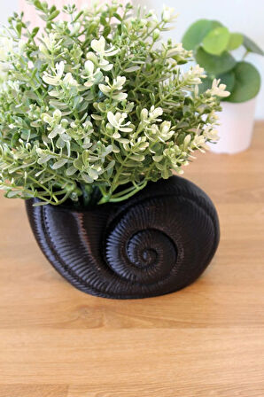 Deniz Kabuğu Organizer ve Deniz Yıldızı Peçetelik Sofra Dekorasyon Takımı Siyah