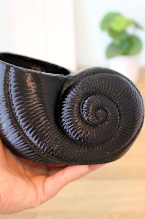 Deniz Kabuğu Organizer ve Deniz Yıldızı Peçetelik Sofra Dekorasyon Takımı Siyah