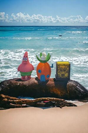 Ananas Evi Sabunluk Bulaşık Süngeri Tutacağı Ve Bulaşık Teli Tutucu