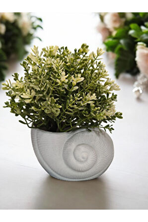 Deniz Kabuğu Istiridye Midye Dekoratif Çok Amaçlı Organizer Düzenleyici Vazo Granit Beyaz