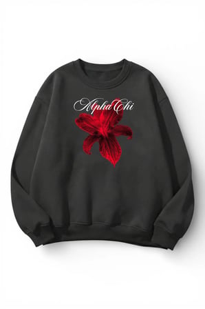 Unisex Yumuşak Dokulu Chi Alpha Baskılı Tasarım Oversize 3 İplik Bisiklet Yaka Sweatshirt