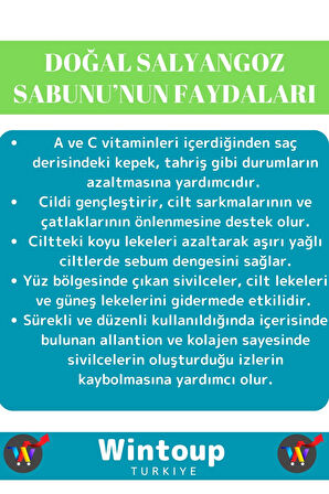 Özel Üretim %100 Doğal Organik Güzel Kokulu Salyangoz Sabunu El Yüz Saç Vücut Cilt Sabunu 3 Adet