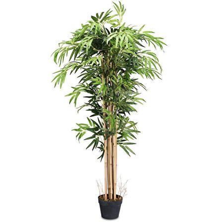 Yapay Bambu Ağacı Ekstra Doğal Görünüm Siyah Saksılı 6 dallı 200cm