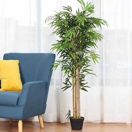 Yapay Bambu Ağacı Ekstra Doğal Görünüm Siyah Saksılı 6 dallı 200cm