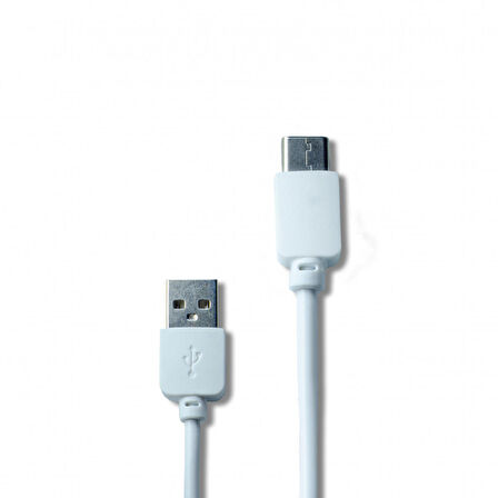 Global Çift Çıkışlı 2.1A Type-C Ev Tipi Şarj Aleti Set (FM101T)