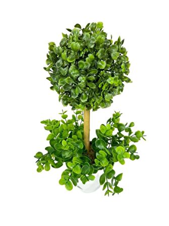 Yapay Ağaç Şimşir Top Tek Toplu Şimşirli 12x31cm Beyaz Saksıda 