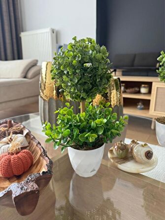 Yapay Ağaç Şimşir Top Tek Toplu Şimşirli 12x31cm Beyaz Saksıda 