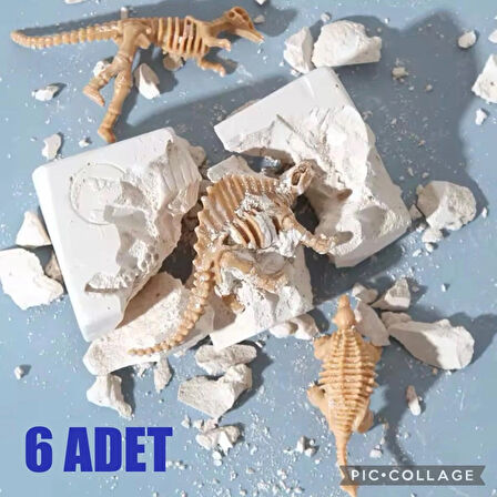 6 adet fosil iskelet dinozor arkeolojik kazı oyunu bilim faaliyeti etkinlik proje seti
