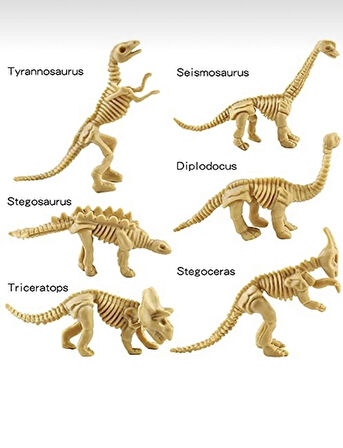 6 adet fosil iskelet dinozor arkeolojik kazı oyunu bilim faaliyeti etkinlik proje seti