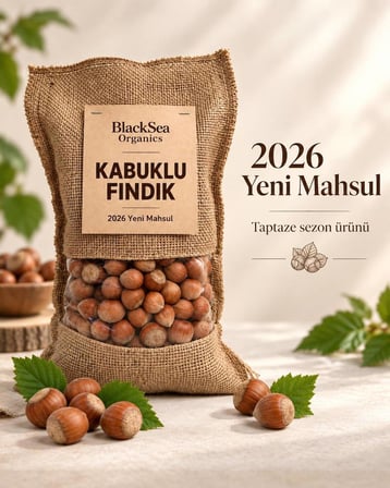 Rize Kabuklu Fındık Yeni Mahsul 500 Gr