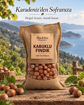 Rize Kabuklu Fındık Yeni Mahsul 500 Gr