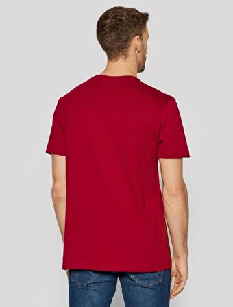 Lacoste bisiklet yaka Regular basic T-shirt
