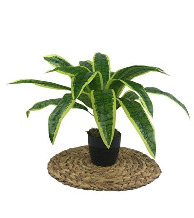Yapay Çiçek Masengena Sansevieria 12 Dal 40*50cm Salon Çiçeği Plastik Siyah Saksılı Yapay Bitki