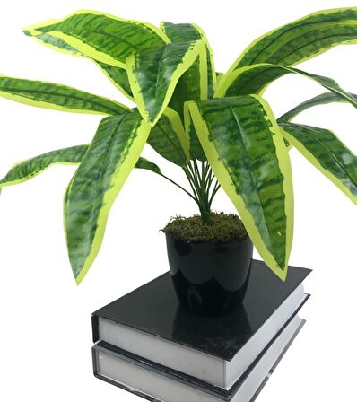 Yapay Çiçek Masengena Sansevieria 12 Dal 40*50cm Salon Çiçeği Plastik Siyah Saksılı Yapay Bitki