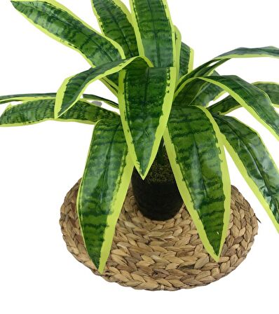 Yapay Çiçek Masengena Sansevieria 12 Dal 40*50cm Salon Çiçeği Plastik Siyah Saksılı Yapay Bitki