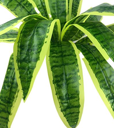 Yapay Çiçek Masengena Sansevieria 12 Dal 40*50cm Salon Çiçeği Plastik Siyah Saksılı Yapay Bitki
