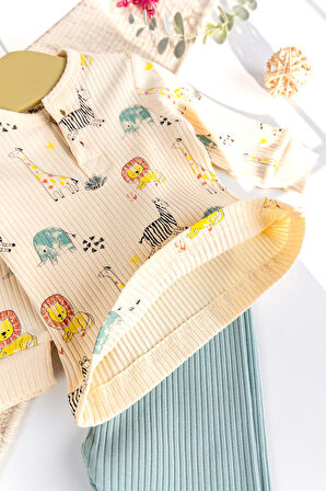 Aslan Temalı Erkek Bebek Takım