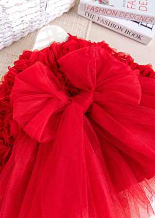 Fiyonklu Güllü Tül Detaylı Şık Dogum Günü Özel Gün Kız Bebek/Çocuk Elbise