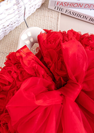 Fiyonklu Güllü Tül Detaylı Şık Dogum Günü Özel Gün Kız Bebek/Çocuk Elbise