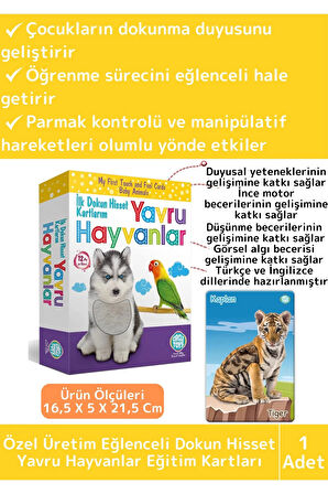 Premium Eğitici Çocuk Gelişimi Eğlenceli Öğrenme Dokun Hisset Tanı Yavru Hayvanlar Eğitim Kartları