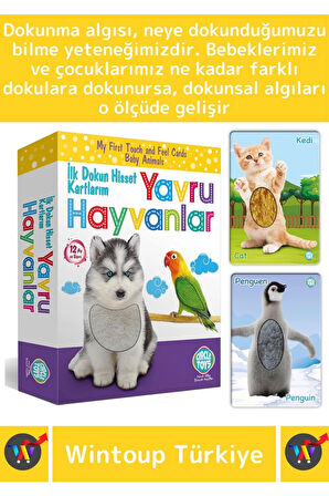 Premium Eğitici Çocuk Gelişimi Eğlenceli Öğrenme Dokun Hisset Tanı Yavru Hayvanlar Eğitim Kartları
