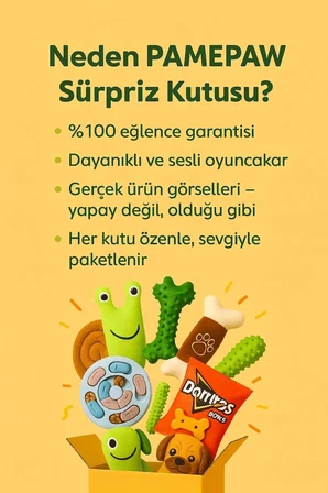 Köpek Sürpriz Keşif Kutusu – 8’li Sesli Dayanıklı Oyuncak Seti