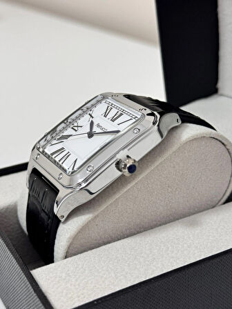 FERRUCCİ ERKEK KOL SAATİ ÇELİK KASA 30 METRE SUYA DAYANIKLI