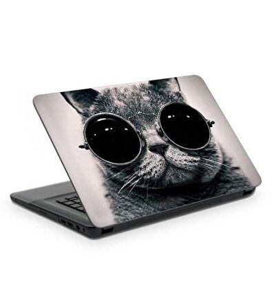 Gözlüklü Kedi Notebook Sticker, Laptop sticker,, Hp Sticker, Asus Sticker, 15.6 inç sticker