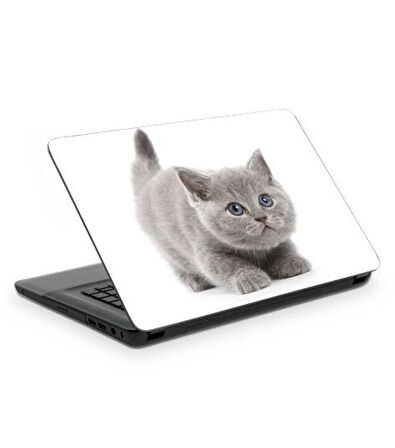 Kedicik Notebook Sticker, Laptop sticker,, Hp Sticker, Asus Sticker, 15.6 inç sticker