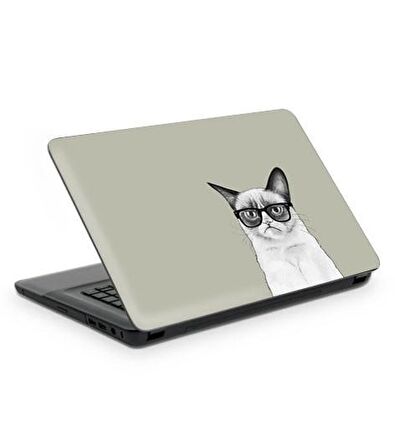 Bilmiş Kedi Notebook Sticker, Laptop sticker,, Hp Sticker, Asus Sticker, 15.6 inç Sticker