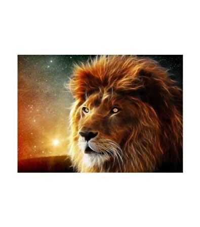 Aslan Kral Notebook Sticker, Laptop sticker,, Hp Sticker, Asus Sticker, 15.6 inç Sticker