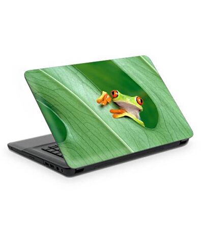 Kurbağa Notebook Sticker, Laptop sticker,, Hp Sticker, Asus Sticker, 15.6 inç Sticker