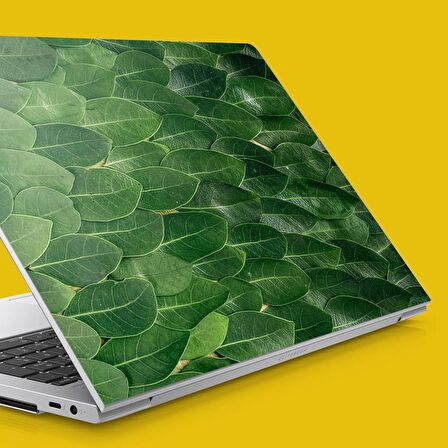 Dizili Yapraklar Notebook Sticker, Laptop sticker,, Hp Sticker, Asus Sticker, 15.6 inç Sticker