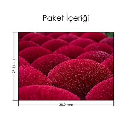Fuşya Yuvarlak Çalılık Notebook Sticker, Laptop sticker,, Hp Sticker, Asus Sticker, 15.6 inç Sticker